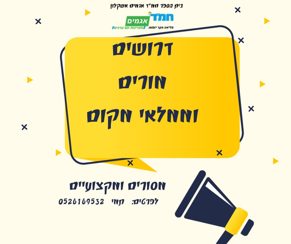 דרושים מורים ממלאי מקום לביהס חמד אגמים באשקלון אנשים מקצועיים ומסורים. לפרטים: תמי 0526169532