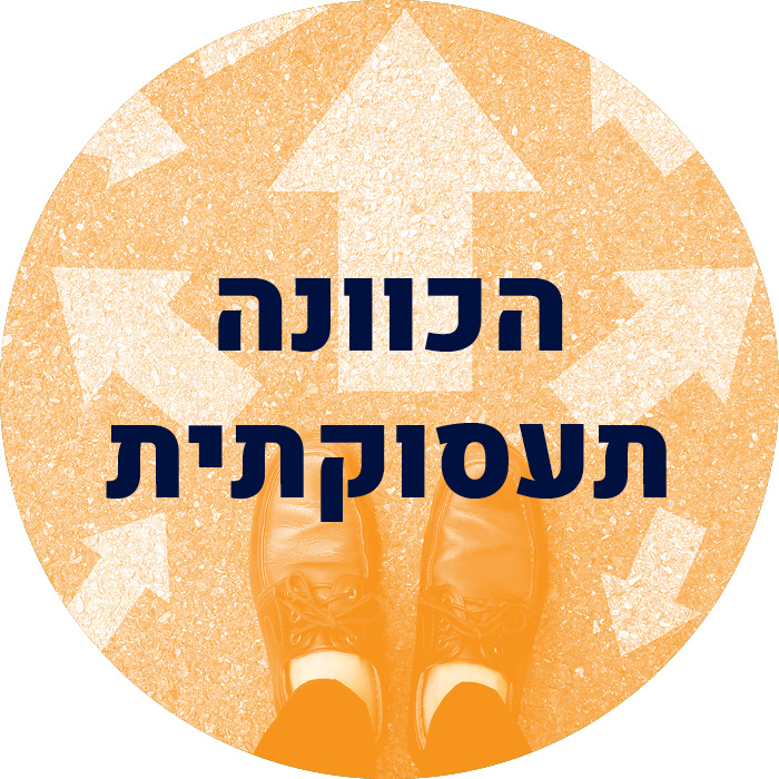 הכוונה תעסוקתית