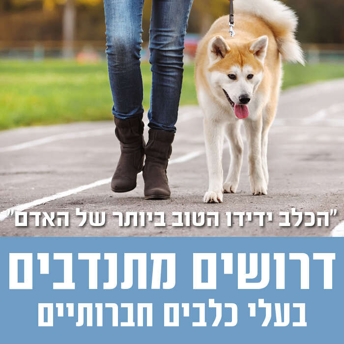 דרושים מתנדבים בעלי כלבים חברותיים