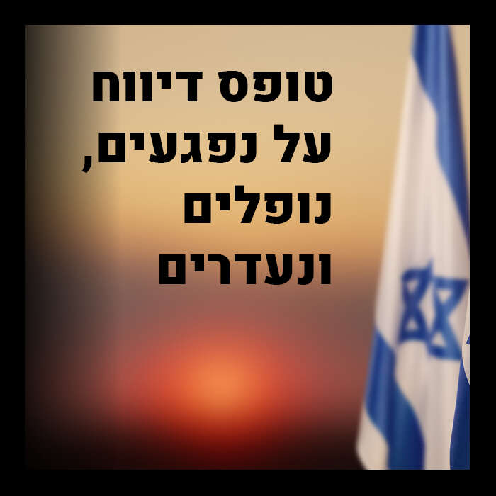 טופס דיווח על נפגעים, נופלים ונעדרים